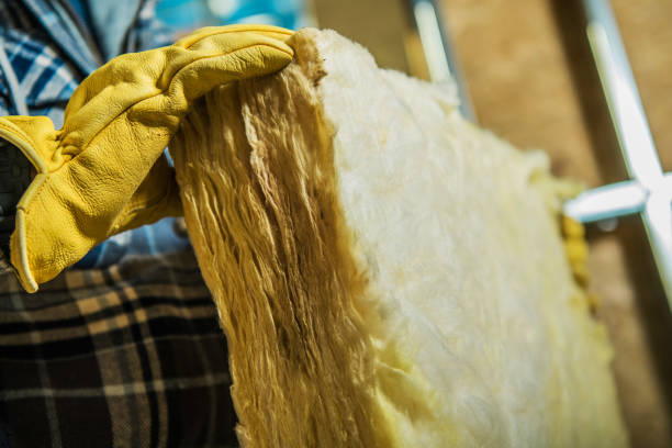 Best Fiberglass Insulation in East Rancho Dominguez, CA